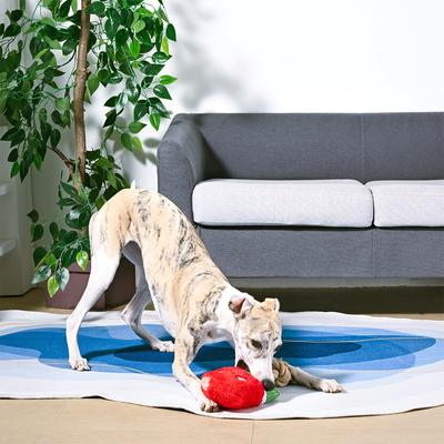 Show full view: HugSmart Pet Food Party Watermelon Dog Toy slide 5 of 6