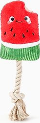 HugSmart Pet Food Party Watermelon Dog Toy