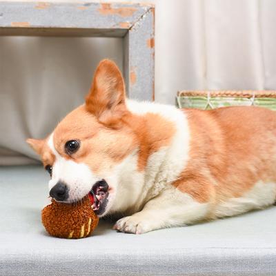 Show full view: HugSmart Pet Food Party Spaghetti Meatball Dog Toy slide 7 of 8