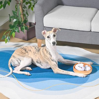 Show full view: HugSmart Pet Food Party Soup Dumplings Dog Toy slide 5 of 6