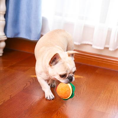 Show full view: HugSmart Pet Food Party Hamburger Dog Toy slide 6 of 7