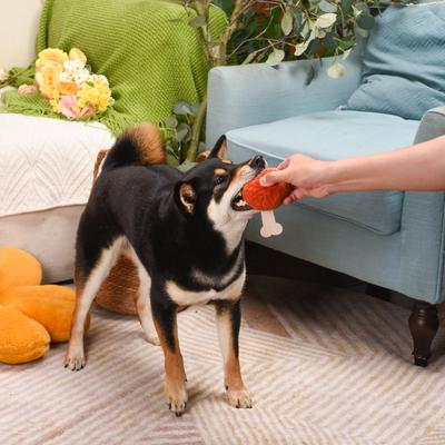 Show full view: HugSmart Pet Food Party Ham Dog Toy slide 8 of 9