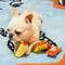 Show in main carousel: HugSmart Pet Fiesta Chewsday Taco Rupper Dog Toy slide 4 of 5