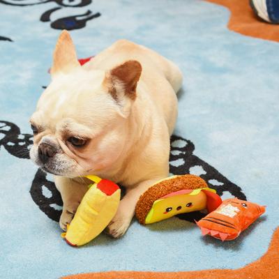 Show full view: HugSmart Pet Fiesta Chewsday Taco Rupper Dog Toy slide 4 of 5