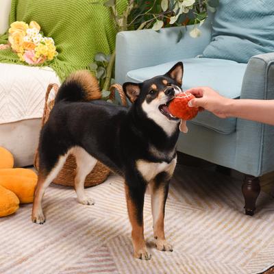 Show full view: HugSmart Pet Food Party Ham Dog Toy slide 9 of 9