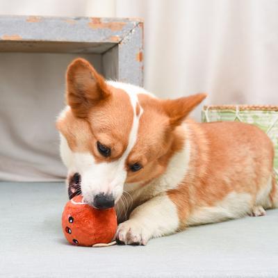 Show full view: HugSmart Pet Food Party Ham Dog Toy slide 6 of 9