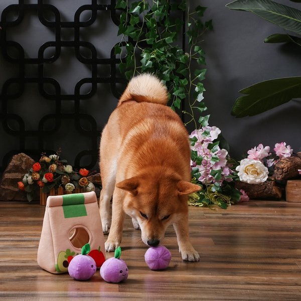 HugSmart Pet Witchy Dog Crystal Ball Dog Toy
