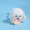 Show in main carousel: HugSmart Pet Food Party Cool Pup Dog Toy slide 6 of 7