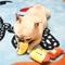 Show in main carousel: HugSmart Pet Fiesta Chewsday Taco Rupper Dog Toy slide 5 of 5
