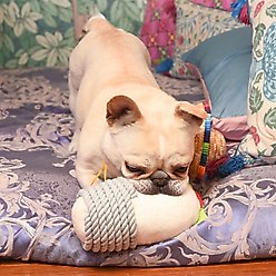 HugSmart Pet Fiesta Chewsday Burrito Dog Toy slide 2 of 7