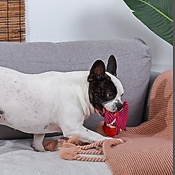 HugSmart Pet Dinosaur Land Rexy L Dog Toy slide 2 of 4