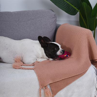 Show full view: HugSmart Pet Dinosaur Land Rexy Dog Toy slide 4 of 4