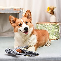 HugSmart Pet Dinosaur Land Pterosaur L Dog Toy slide 2 of 6