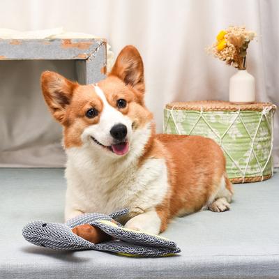 Show full view: HugSmart Pet Dinosaur Land Pterosaur Dog Toy slide 4 of 6