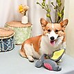 Show in main carousel: HugSmart Pet Dinosaur Land Pterosaur Dog Toy slide 3 of 6