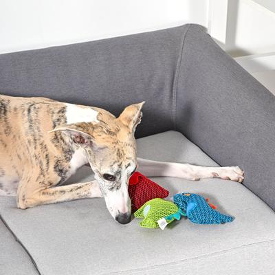 Show full view: HugSmart Pet Dinosaur Land Dino Buds Dog Toy slide 8 of 8