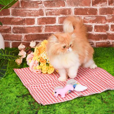 Show full view: HugSmart Pet Crazy Catcher Unicorn& Rainbow Cat Toy slide 7 of 9