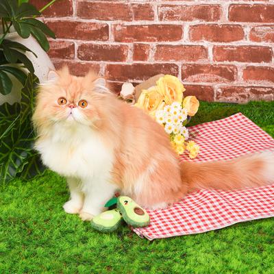 Show full view: HugSmart Pet Crazy Catcher Avocado Pack Cat Toy slide 7 of 9