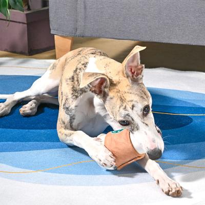 Show full view: HugSmart Pet Coffee Hour Starpaws Coffee Dog Toy slide 5 of 5