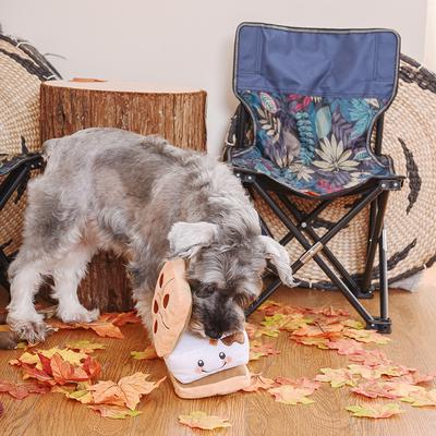 Show full view: HugSmart Pet Camping Pups S' More Dog Toy slide 8 of 9