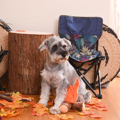 Show full view: HugSmart Pet Camping Pups Campfire Dog Toy slide 9 of 9