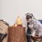Show in main carousel: HugSmart Pet Camping Pups Campfire Dog Toy slide 7 of 9