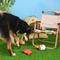 Show in main carousel: HugSmart Pet Camping Pups Camp Hound Dog Toy slide 5 of 5