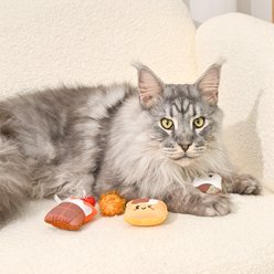 HugSmart Pet Camping Claws Cat S' Mores Cat Toy slide 2 of 5