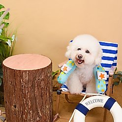 HugSmart Pet Beach Daze Slipper Dog Toy slide 2 of 6