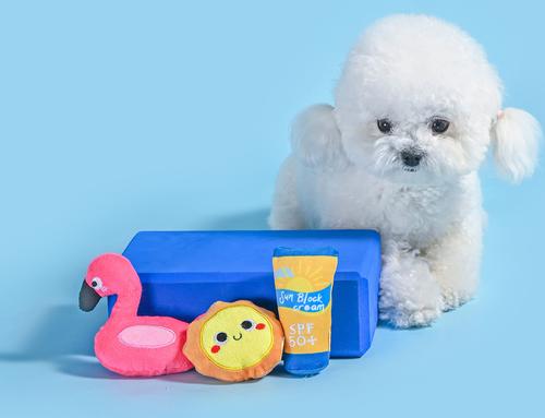 Show full view: HugSmart Pet Beach Daze Barkin' Beach Dog Toy slide 4 of 6