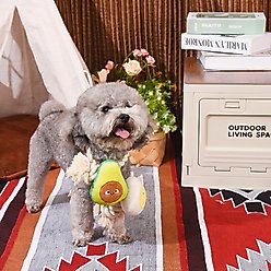 HugSmart Pet Avocado Collection Toast & Egg Dog Toy slide 2 of 7
