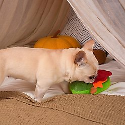 HugSmart Pet Autumn Tailz Turkey Avocado Dog Toy slide 2 of 9