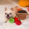 Show in main carousel: HugSmart Pet Autumn Tailz Apple Basket Dog Toy slide 7 of 9