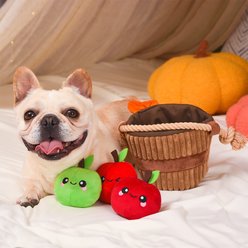 HugSmart Apple Basket Puzzle Squeaky Hide & Seek Plush Rope Dog Toy, Small/Medium slide 2 of 9
