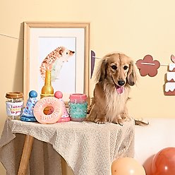 HugSmart Pet Yappy Birthday Birthday Donut Dog Toy slide 2 of 6