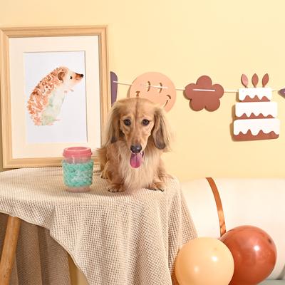 Show full view: HugSmart Pet Yappy Birthday Pink Birthday Coffee Dog Toy slide 4 of 6