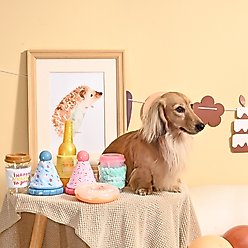 HugSmart Pet Yappy Birthday Blue Party Hat Dog Toy slide 2 of 5