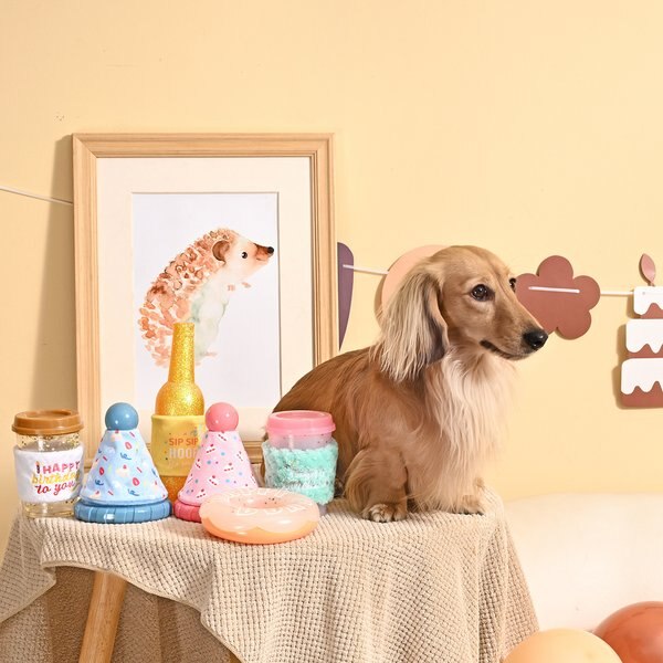 HugSmart Pet Yappy Birthday Birthday Wine Dog Toy