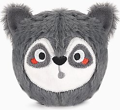 HugSmart Pet Zoo Ball Raccoon Dog Toy