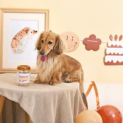 Show full view: HugSmart Pet Yappy Birthday Brown Birthday Coffee Dog Toy slide 5 of 7