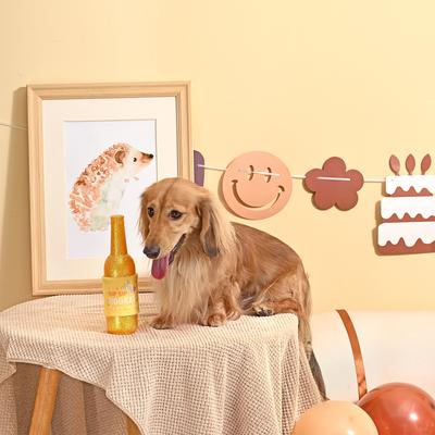 Show full view: HugSmart Pet Yappy Birthday Birthday Wine Dog Toy slide 5 of 6