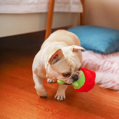 Show full view: HugSmart Pet Woof Love Rose Dog Toy slide 3 of 3