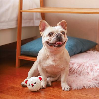 Show full view: HugSmart Pet Woof Love Bear Dog Toy slide 5 of 5