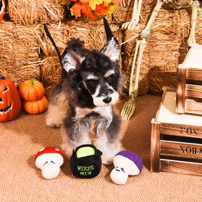 Show full view: HugSmart Pet Witchy Dog Witches Brew Dog Toy slide 8 of 9