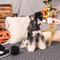 Show in main carousel: HugSmart Pet Witchy Dog Witches Brew Dog Toy slide 6 of 9