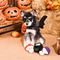 Show in main carousel: HugSmart Pet Witchy Dog Witches Brew Dog Toy slide 7 of 9