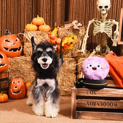 Show full view: HugSmart Pet Witchy Dog Crystal Ball Dog Toy slide 8 of 9