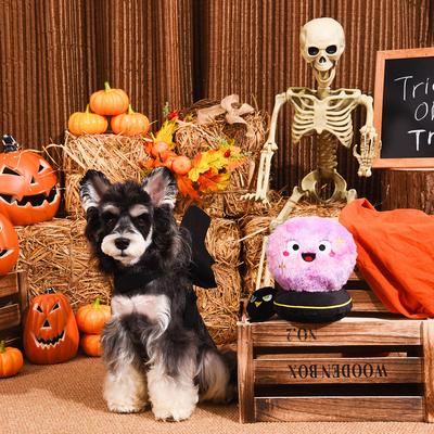 Show full view: HugSmart Pet Witchy Dog Crystal Ball Dog Toy slide 9 of 9