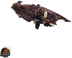 ABDragons Dwarf White Isopods Live Reptile Food, 25 count