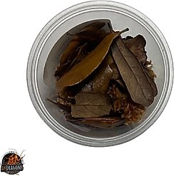 ABDragons Dwarf White Isopods Live Reptile Food, 25 count slide 2 of 3